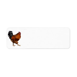 Rooster-Rückgabeadresse