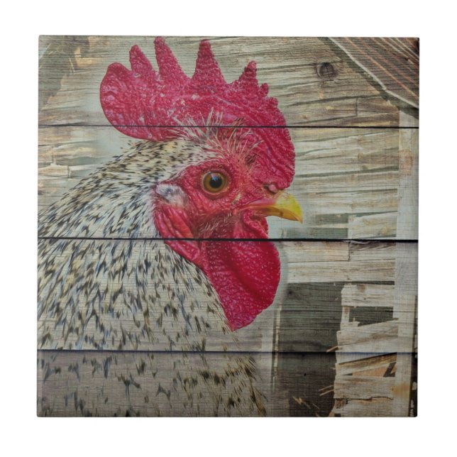 Rooster Rustic Chicken Coop Barboard Board Fliese (Vorderseite)