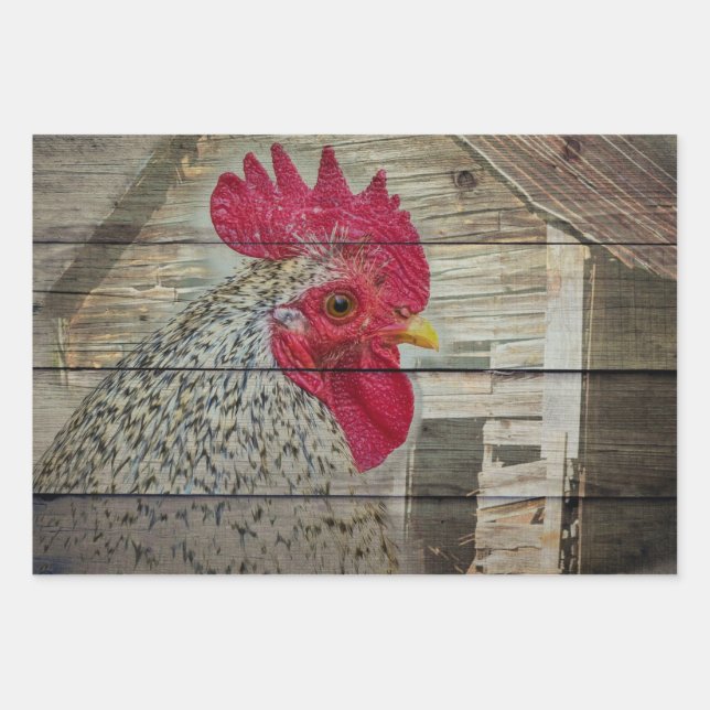 Rooster Rustic Chicken Coop Barboard Board Geschenkpapier Set (Vorderseite)