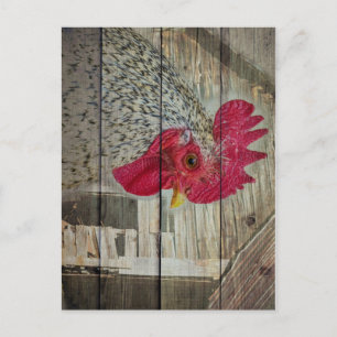Rooster Rustic Chicken Coop Barboard Board Postkarte