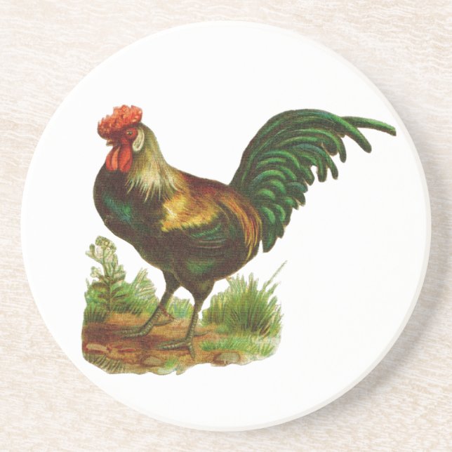 Rooster Sandstein Untersetzer (Vorne)