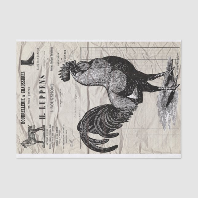Rooster Seidenpapier (Vorderseite)