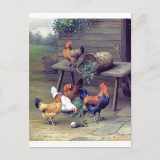 Rooster Turnip Basket Hens Postkarte (Vorderseite)