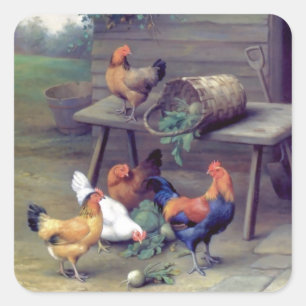 Rooster Turnip Basket Hens Quadratischer Aufkleber