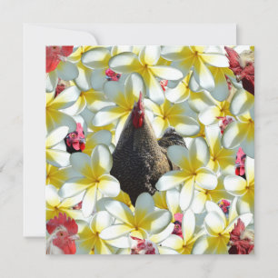 Rooster und Frangipanis, Karte