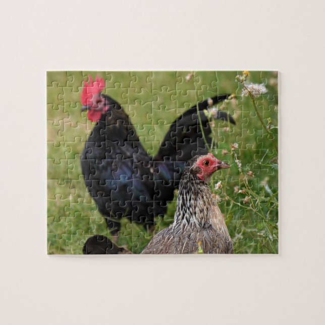 Rooster und Hen (Horizontal)