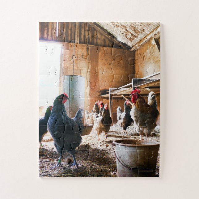 Rooster und Hühner in Barn (Vertikal)