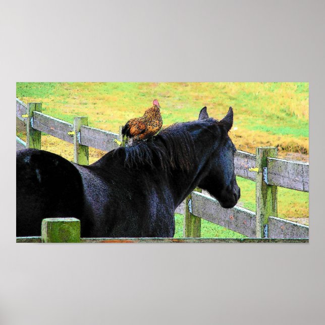 Rooster und Mare Poster (Vorne)