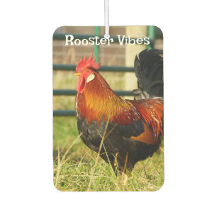 Rooster Vibes / Ausblendungen Autolufterfrischer