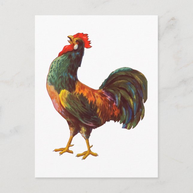 Rooster Vintag Kitchrate Art Postkarten (Vorderseite)