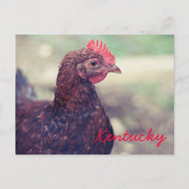 Rooster von JerseyFawn Postkarte (Vorderseite)