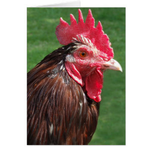 Roosterkarte