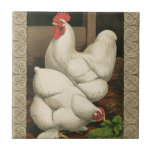 Roosters & Hen außerhalb von Hen House mit weißer  Fliese<br><div class="desc">Ein rustikaler Kunstdruck mit einem kräftigen Hahn und einer Henne in einem Hühnerhaus. Der darc ecru Rahmen besteht aus spiralförmigen Elementen. Dieser Druck wäre eine große Ergänzung zu einer ländlichen Zuhause-Dekoration.</div>