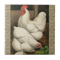 Roosters & Hen außerhalb von Hen House mit weißer