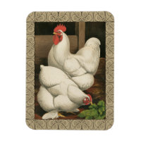 Roosters & Hen außerhalb von Hen House mit weißer