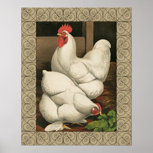 Roosters & Hen außerhalb von Hen House mit weißer  Poster (Vorne)