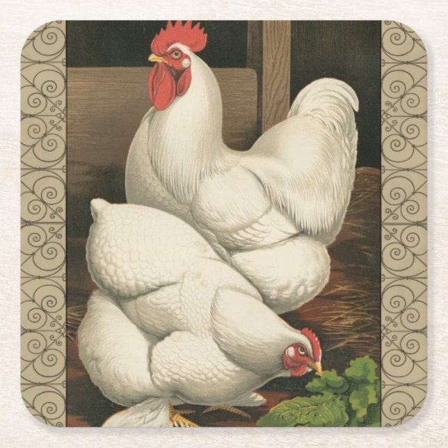 Roosters & Hen außerhalb von Hen House mit weißer  Rechteckiger Pappuntersetzer (Vorderseite)