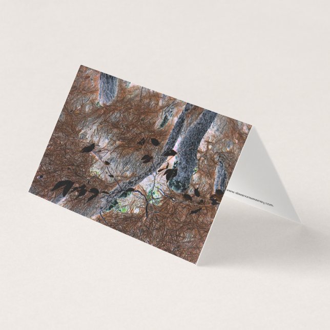 "Roots" Gnarled Trees, Pine Needles, Forest Floor (Vorderseite)