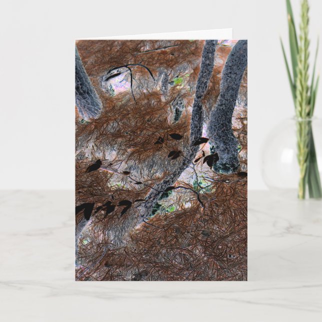"Roots" Gnarled Trees, Pine Needles, Forest Floor Karte (Vorderseite)