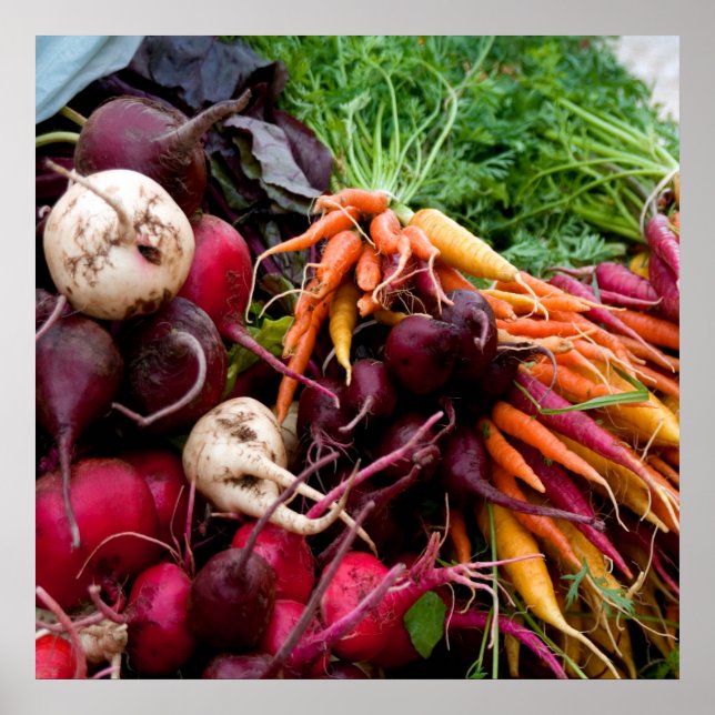 ROOTS! POSTER (Vorne)