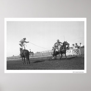 Roping Pferd Poster