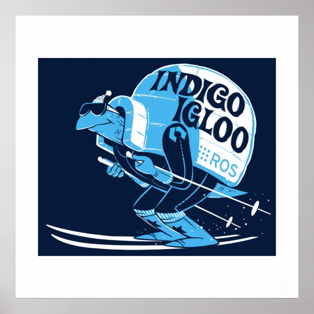 ROS Indigo Igloo Poster (Vorne)