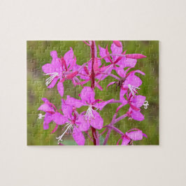 Rosa Alaskan Fireweed Blume in Blüte