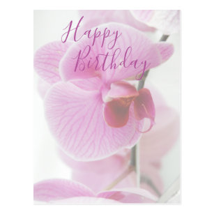 Grusskarte Geburtstag Mit Orchideen Alles Gute Und Gesundheit