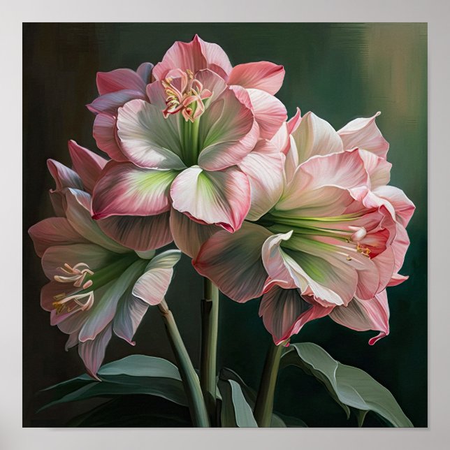 Rosa Amaryllis Blume Art Print Poster (Vorne)