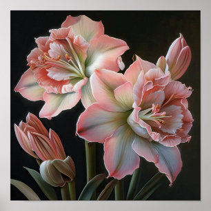 Rosa Amaryllis Blume Art Print Poster
