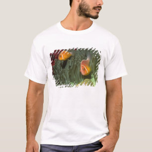 Rosa Anemonefish in der Magnificant Seeanemone T-Shirt