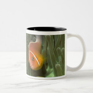 Rosa Anemonefish in der Magnificant Seeanemone Zweifarbige Tasse