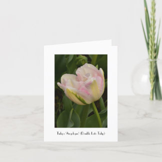 Rosa "Angelique" Tulpe-Gruß danken Ihnen zu merken Karte