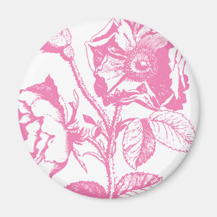 Rosa antike Rose Magnet