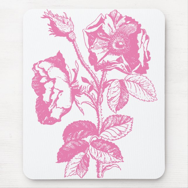 Rosa antike Rose Mousepad (Vorne)