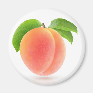 Rosa Aprikose Magnet