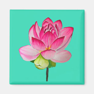Rosa Aquarelllotus Blume Kunst Magnet