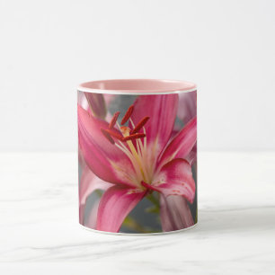 Rosa Asiatische Lily Blume Foto Tasse