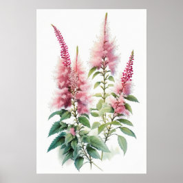 Rosa Astilbe Blume Art Print Poster