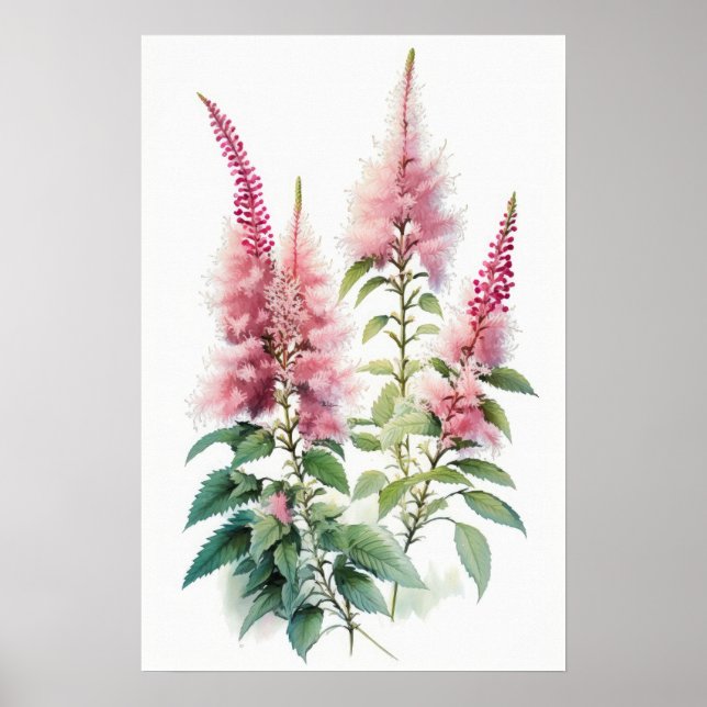 Rosa Astilbe Blume Art Print Poster (Vorne)