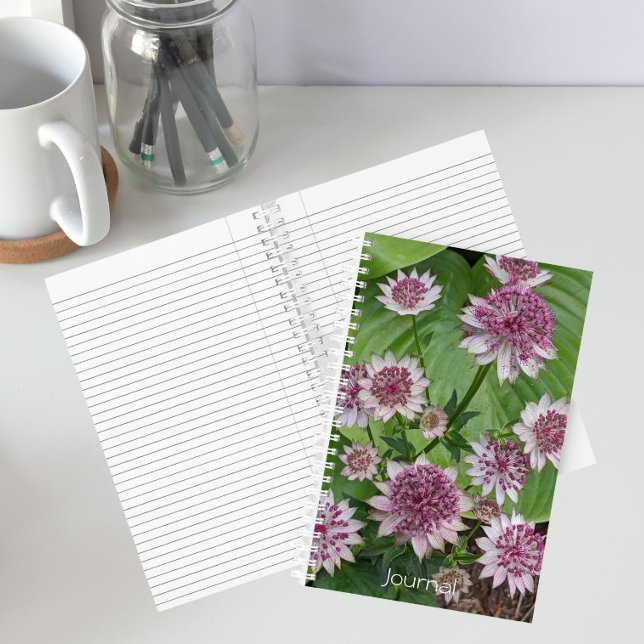 Rosa Astrantia Blumen Notizbuch (In Situ)