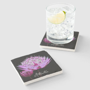 Rosa Astrantia-Blüte auf schwarzem Floral Steinuntersetzer