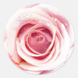 Rosa Aufkleber