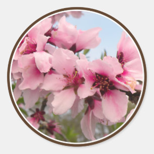 Rosa Aufkleber für die Verzweigung