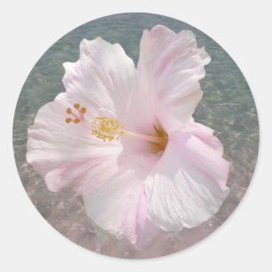 Rosa Aufkleber für Hibiskus und Ozeane