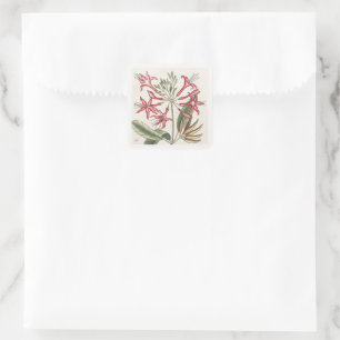 Rosa aufrechte Geißblatt-Blumenaufkleber-Bogen Quadratischer Aufkleber
