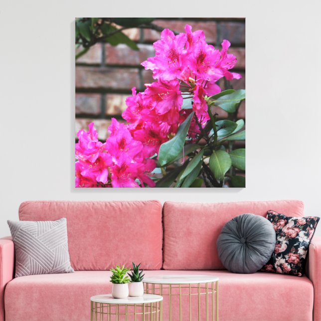Rosa Azalea Blume Leinwand (Insitu (Wohnzimmer))