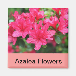 Rosa Azalea-Blume Magnet
