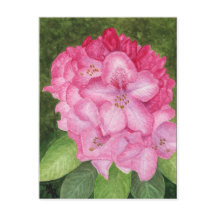 Rosa Azalea Kunst, Dichtung