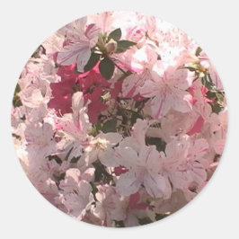 Rosa Azalea Runder Aufkleber